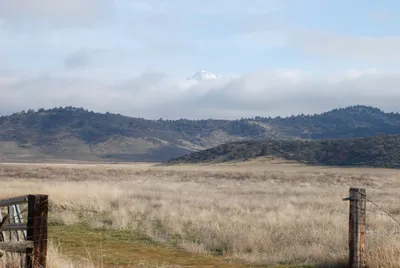 DSC_0045 (Large).JPG